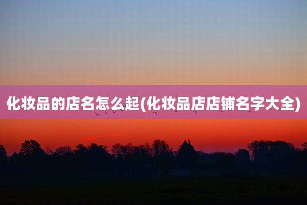 化妆品的店名怎么起(化妆品店店铺名字大全)