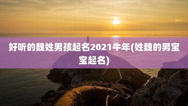 好听的魏姓男孩起名2021牛年(姓魏的男宝宝起名)