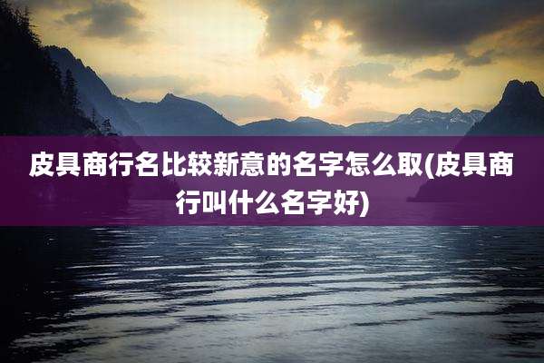 皮具商行名比较新意的名字怎么取(皮具商行叫什么名字好)