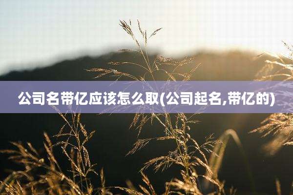 公司名带亿应该怎么取(公司起名,带亿的)