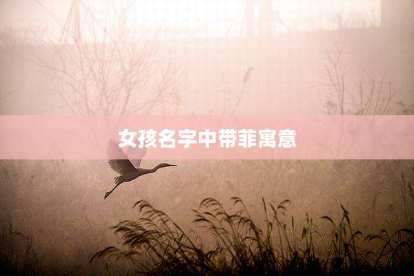 女孩名字中带菲寓意