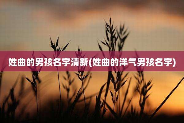 姓曲的男孩名字清新(姓曲的洋气男孩名字)