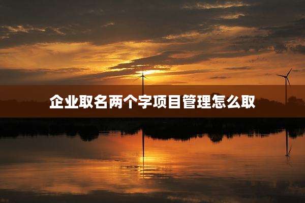 企业取名两个字项目管理怎么取