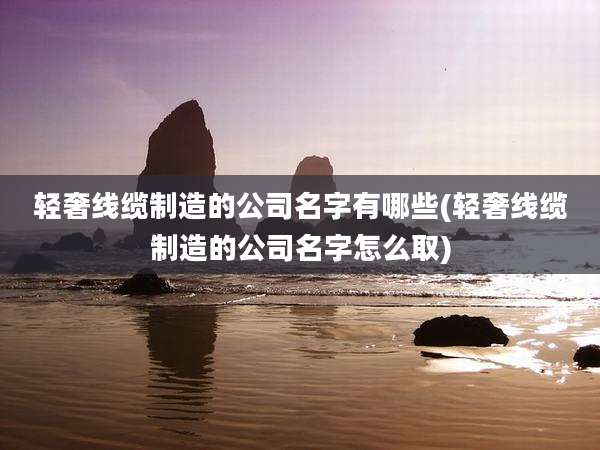 轻奢线缆制造的公司名字有哪些(轻奢线缆制造的公司名字怎么取)
