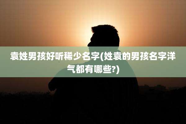 袁姓男孩好听稀少名字(姓袁的男孩名字洋气都有哪些?)