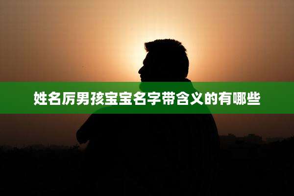 姓名厉男孩宝宝名字带含义的有哪些