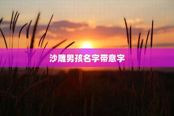 沙雕男孩名字带意字