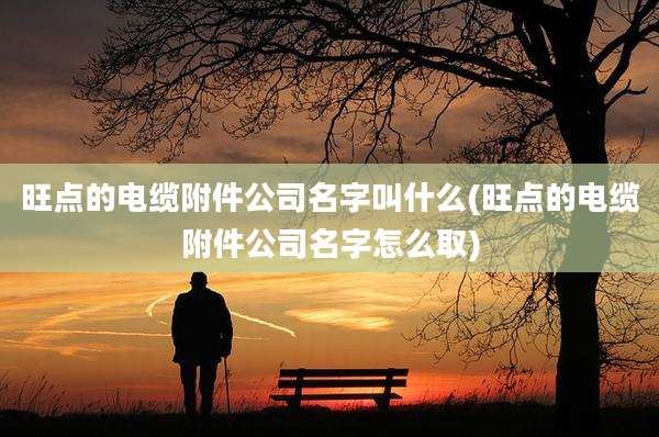 旺点的电缆附件公司名字叫什么(旺点的电缆附件公司名字怎么取)