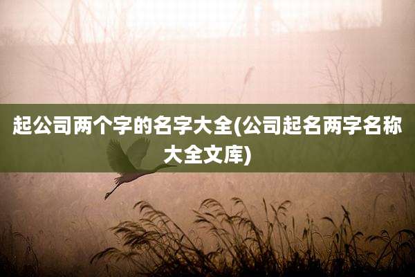 起公司两个字的名字大全(公司起名两字名称大全文库)