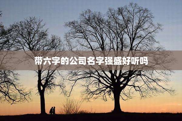 带六字的公司名字强盛好听吗