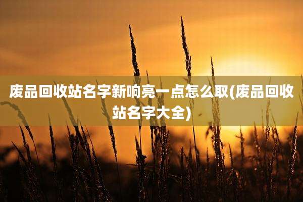 废品回收站名字新响亮一点怎么取(废品回收站名字大全)