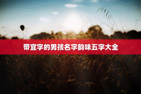 带宜字的男孩名字韵味五字大全