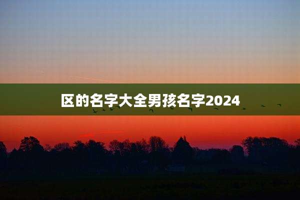 区的名字大全男孩名字2024