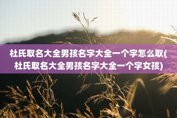 杜氏取名大全男孩名字大全一个字怎么取(杜氏取名大全男孩名字大全一个字女孩)