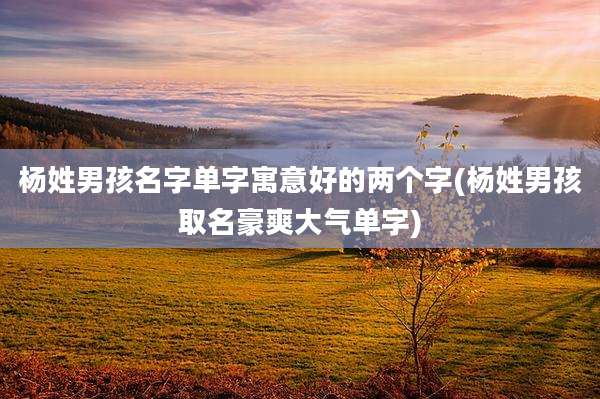 杨姓男孩名字单字寓意好的两个字(杨姓男孩取名豪爽大气单字)