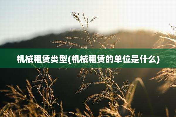 机械租赁类型(机械租赁的单位是什么)