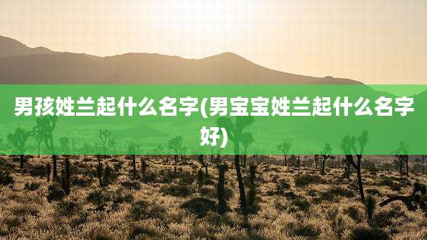 男孩姓兰起什么名字(男宝宝姓兰起什么名字好)