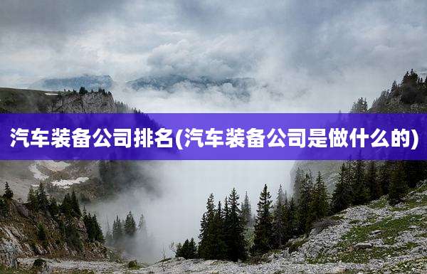汽车装备公司排名(汽车装备公司是做什么的)