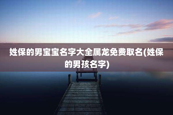 姓保的男宝宝名字大全属龙免费取名(姓保的男孩名字)