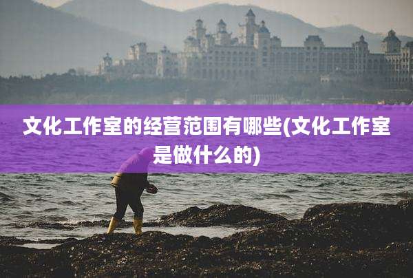 文化工作室的经营范围有哪些(文化工作室是做什么的)