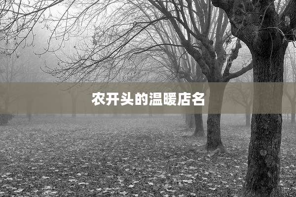农开头的温暖店名