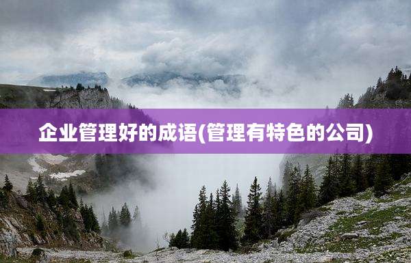 企业管理好的成语(管理有特色的公司)