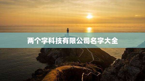 两个字科技有限公司名字大全