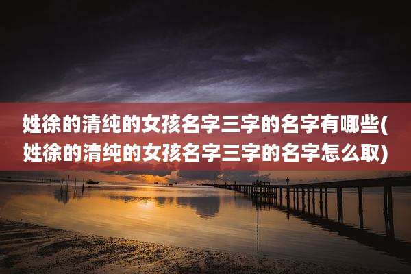 姓徐的清纯的女孩名字三字的名字有哪些(姓徐的清纯的女孩名字三字的名字怎么取)