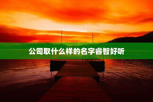 公司取什么样的名字睿智好听