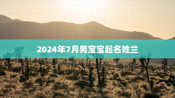 2024年7月男宝宝起名姓兰