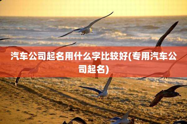 汽车公司起名用什么字比较好(专用汽车公司起名)