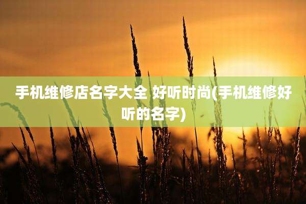 手机维修店名字大全 好听时尚(手机维修好听的名字)