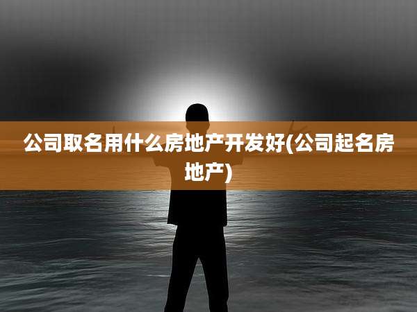 公司取名用什么房地产开发好(公司起名房地产)