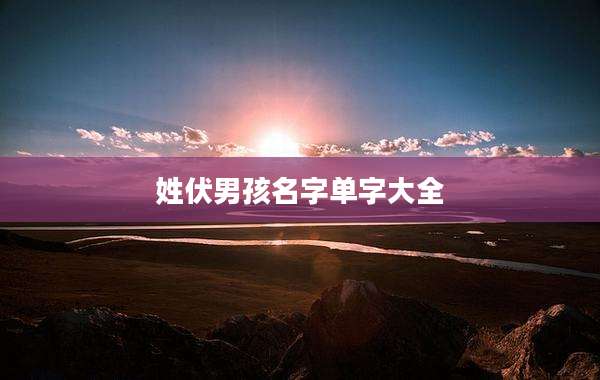 姓伏男孩名字单字大全