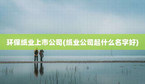 环保纸业上市公司(纸业公司起什么名字好)