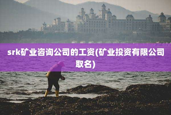 srk矿业咨询公司的工资(矿业投资有限公司取名)