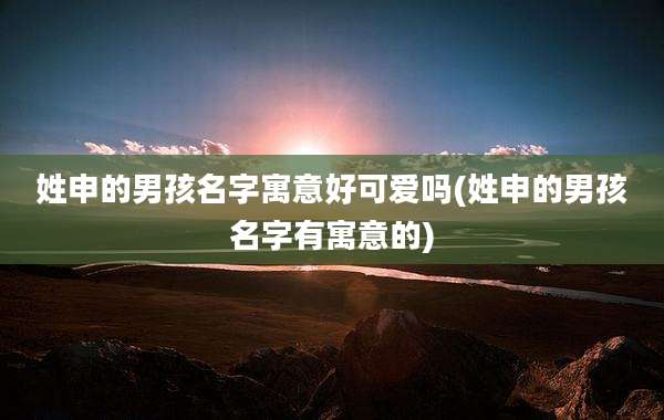 姓申的男孩名字寓意好可爱吗(姓申的男孩名字有寓意的)