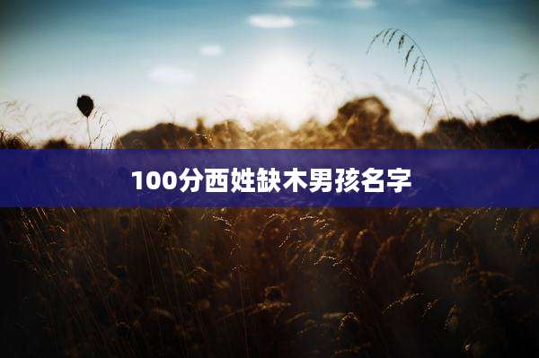 100分西姓缺木男孩名字