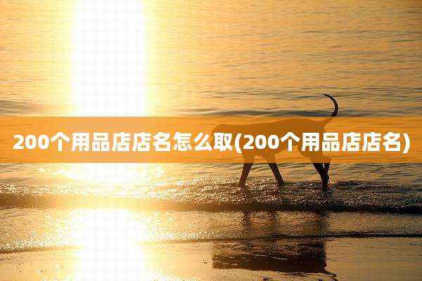200个用品店店名怎么取(200个用品店店名)