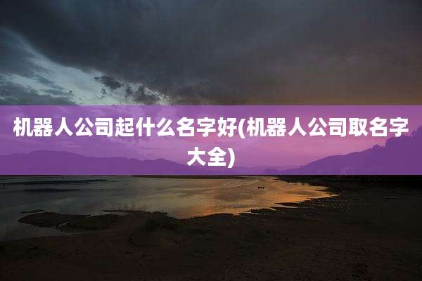 机器人公司起什么名字好(机器人公司取名字大全)