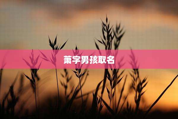 萧字男孩取名