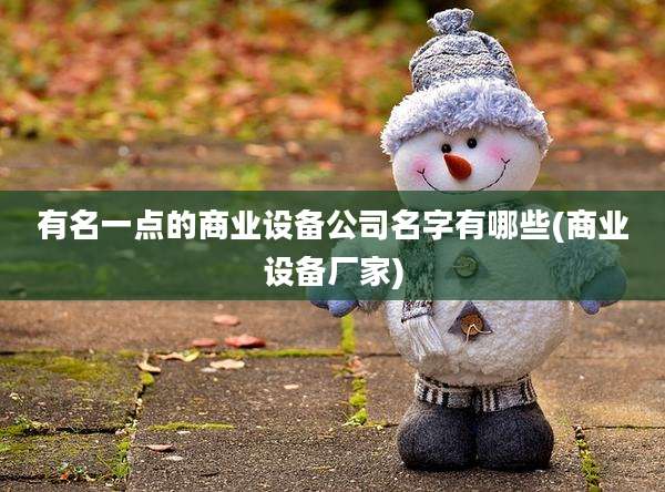 有名一点的商业设备公司名字有哪些(商业设备厂家)