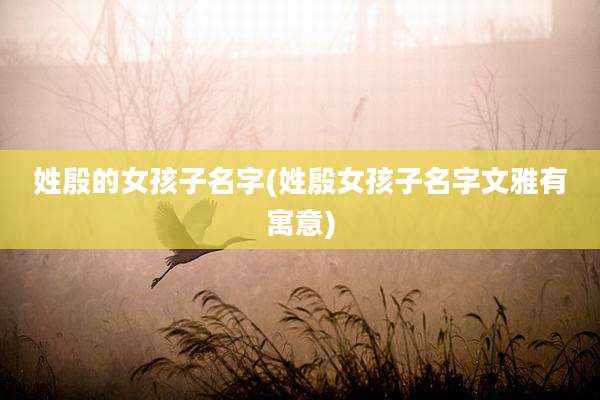 姓殷的女孩子名字(姓殷女孩子名字文雅有寓意)
