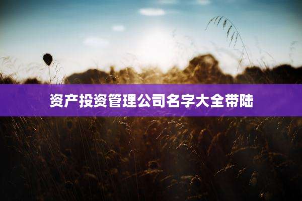 资产投资管理公司名字大全带陆