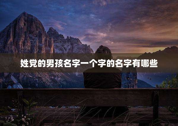姓党的男孩名字一个字的名字有哪些