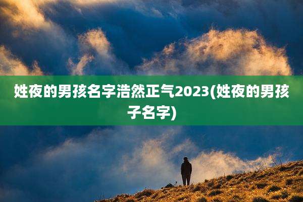 姓夜的男孩名字浩然正气2023(姓夜的男孩子名字)