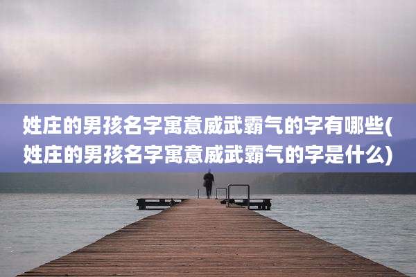 姓庄的男孩名字寓意威武霸气的字有哪些(姓庄的男孩名字寓意威武霸气的字是什么)