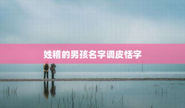 姓稽的男孩名字调皮恬字