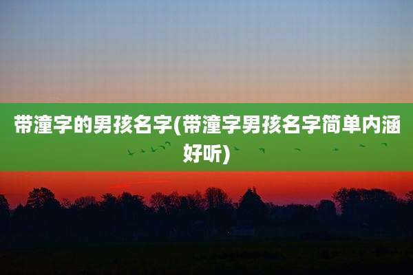 带潼字的男孩名字(带潼字男孩名字简单内涵好听)
