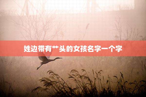 姓边带有艹头的女孩名字一个字
